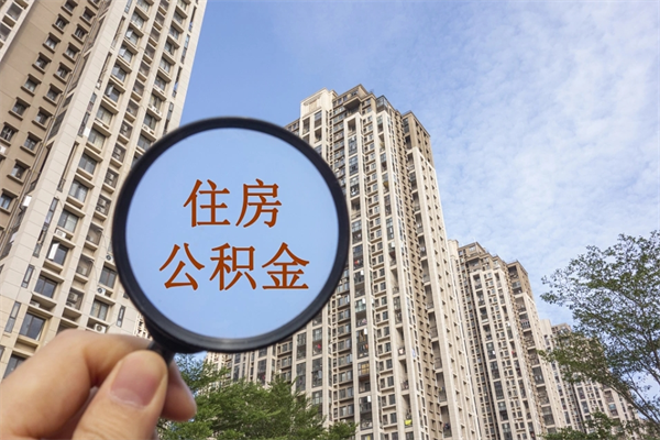 肥城离职多久可以取住房公积金(离职多久后能取公积金) 肥城离职多久可以取住房公积金(离职多久后能取公积金)